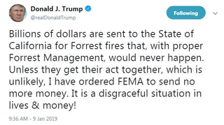 Illustration for article titled Trump Threatens to Cut off Federal Wildfire Aid to California in Ill-Informed, Typo-Laden Tweet